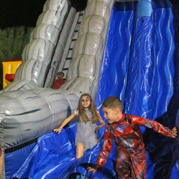 IMG_2662 IMG_2662